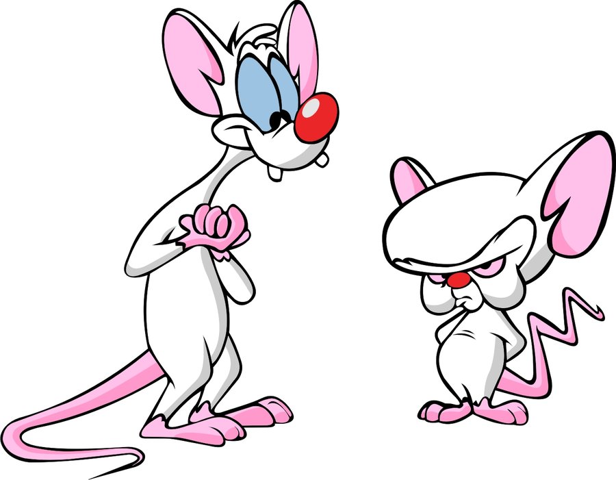 pinky and the brain